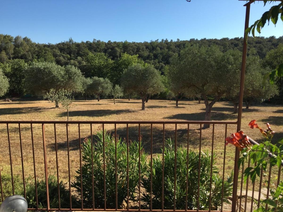 Chateau Du Grand Jas Entrecasteaux Dış mekan fotoğraf