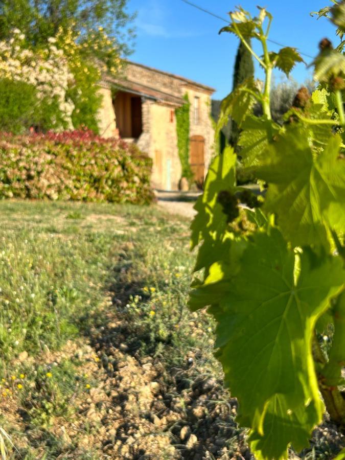 Chateau Du Grand Jas Entrecasteaux Dış mekan fotoğraf